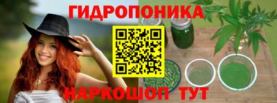 винт Гай