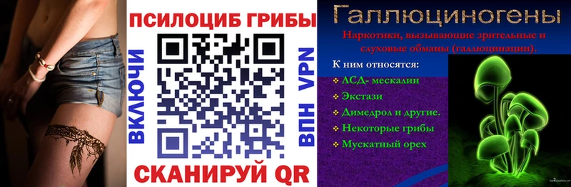 Галлюциногенные грибы Psilocybine cubensis  Новороссийск 